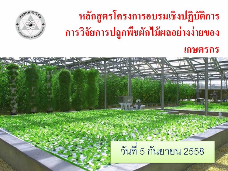 การวิจัยการปลูกพืชผักไม้ผลอย่างง่ายของเกษตรกร